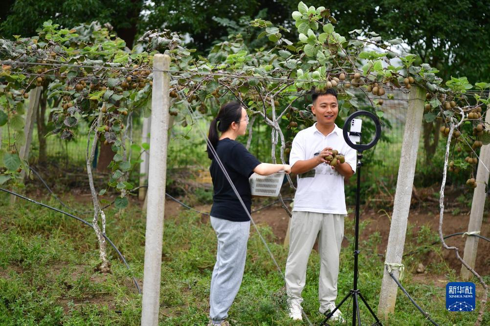 手机白菜娱乐游戏网大全